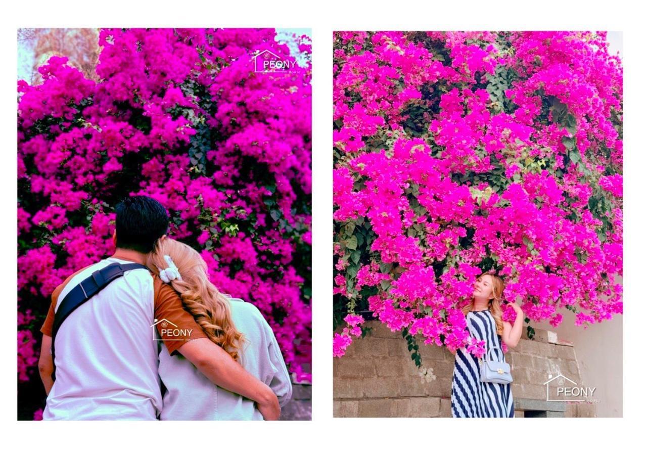 1 Seaview- 2 Gardenview 2Mins To The Beach - Luxury Condotel ファンティエット エクステリア 写真